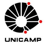 Unicamp - 1a fase